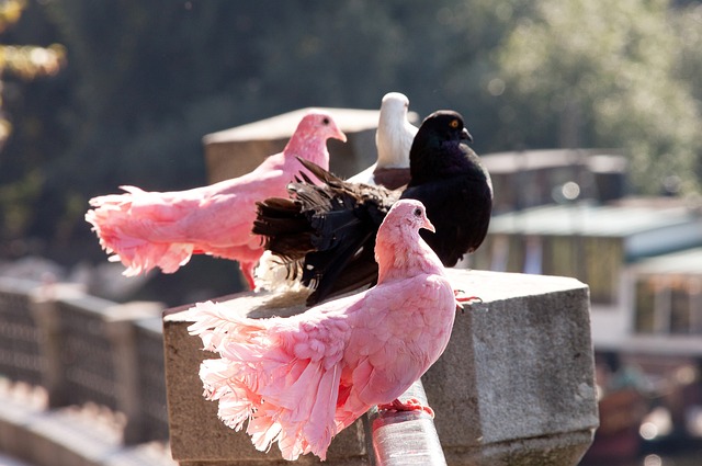 让我们回顾 让我们回顾