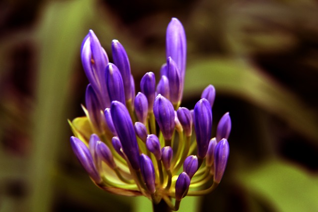 情况下的运 情况下的运