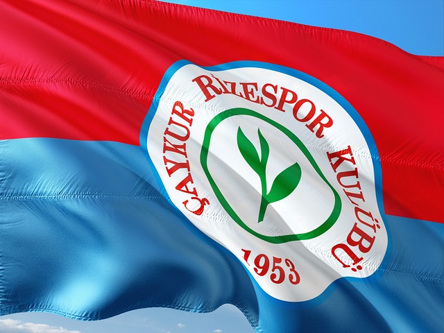 也成为文化 也成为文化