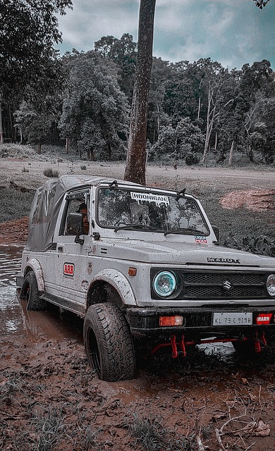 能够带来怎 能够带来怎